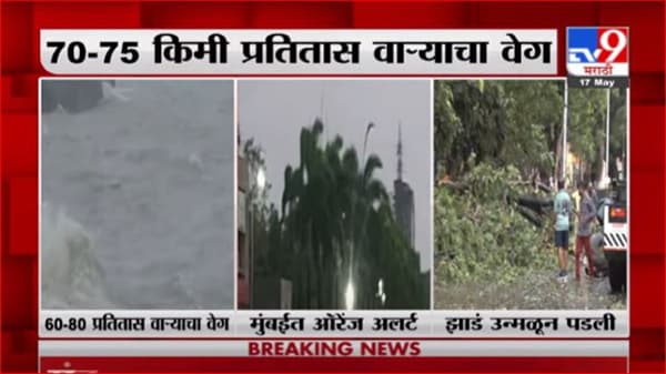 Mumbai Tauktae Cyclone | तौक्ते चक्रीवादळामुळे मुंबईत ठाकरे स्मारकासमोरील झाड कोसळलं