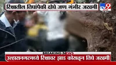 tauktae cyclone live: उल्हासनगरमध्ये रिक्षावर झाड कोसळलं, दोघांची प्रकृती गंभीर