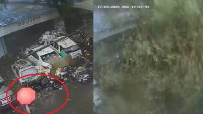 VIDEO | तौक्ते चक्रीवादळाचा कहर, मुंबईत झाड कोसळताना महिला धावली आणि...