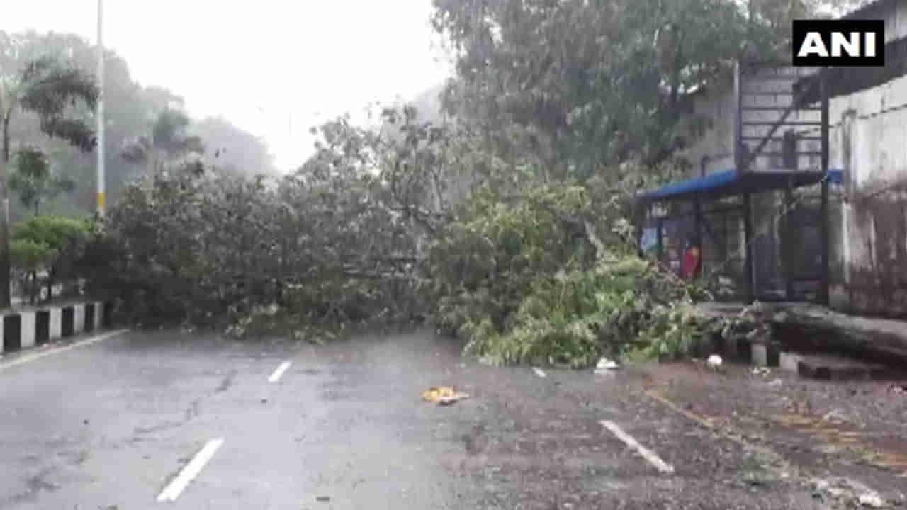 tauktae cyclone: कुठे घरांच्या छत कोसळल्या तर कुठे झाडे पडली; महाराष्ट्रापासून गुजरातपर्यंत दाणादाण