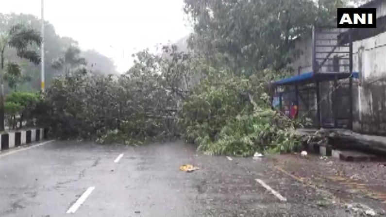 tauktae cyclone: कुठे घरांच्या छत कोसळल्या तर कुठे झाडे पडली; महाराष्ट्रापासून गुजरातपर्यंत दाणादाण