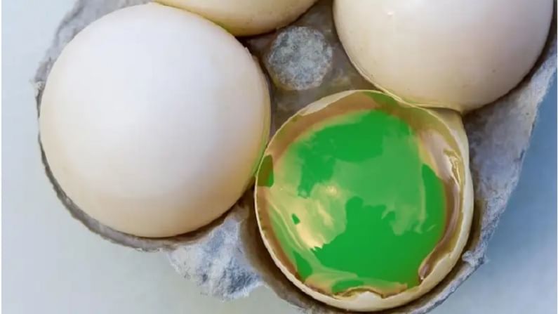 अंड्यातील हिरव्या बल्कबाबत कधी ऐकलंय का?, कशामुळे बदलतो अंड्याचा रंग; वाचून थक्क व्हाल!