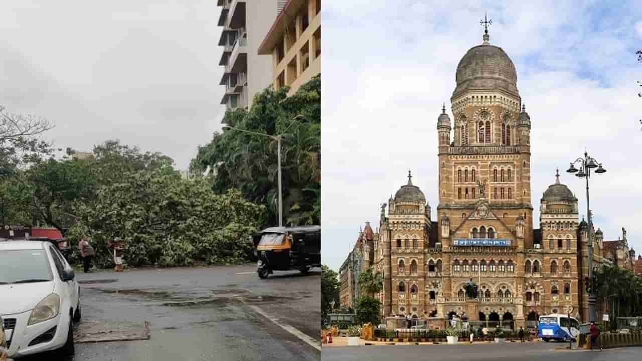 मुंबई महापालिकेविरोधात पहारेकरी भाजप सदोष वृक्षवधाचा गुन्हा दाखल करणार!