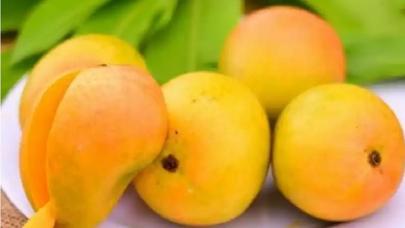 आंबे विकत घेण्याआधी 'या' टीप्स नक्की वाचा! आणि घरी आणा पूर्ण पिकलेले परफेक्ट 'मँगो'