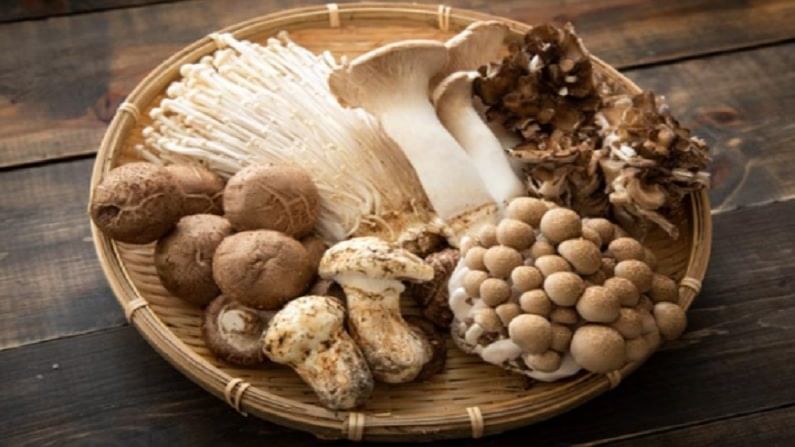 benefits of mushrooms : आहारात दररोज खा मशरूम आणि वाढवा रोगप्रतिकारक शक्ती !