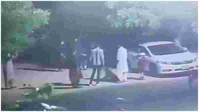 VIDEO | पाळीव सिंहाचा चिमुकल्यावर हल्ला, थरारक CCTV व्हिडीओ, मालकावर गुन्हा