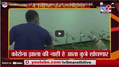 Headline | 2 PM | कुत्रे शोधणार कोरोना झालाय की नाही - फ्रान्समधील वैज्ञानिकांचं संशोधन