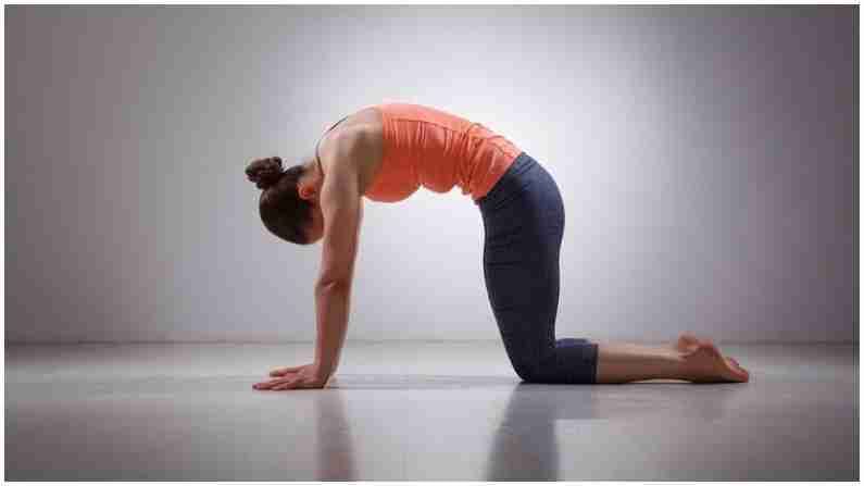 PHOTO | Fitness Tips : शारीरिक आणि मानसिकदृष्ट्या निरोगी राहण्यासाठी करा ही पाच योगासने