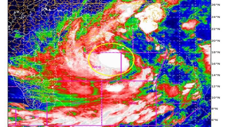 Cyclone Yaas: यास चक्रीवादळ शेतकऱ्यांचं टेन्शन वाढवणार? नेमकं काय घडणार?