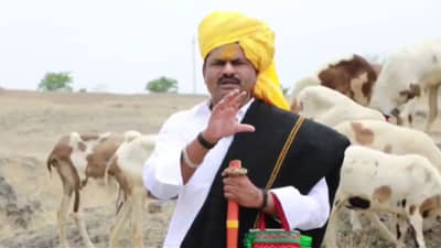 आता आरक्षणासाठी धनगर समाज आक्रमक; 31 मे रोजी जागर करा; गोपीचंद पडळकर यांचं आवाहन