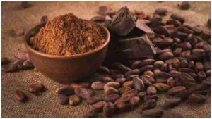 Benefits of Cocoa Powder : कोको पावडरचे सेवन केल्यास होतील हे आरोग्यासाठी फायदे