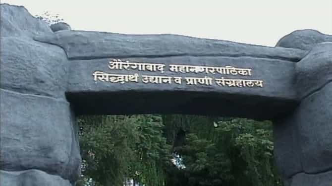 सिद्धार्थ उद्यानात 16 वाघांसह 320 प्रकारचे प्राणी, कोरोनाकाळात अशी घेतली जातेय प्राण्यांची काळजी, वाचा...