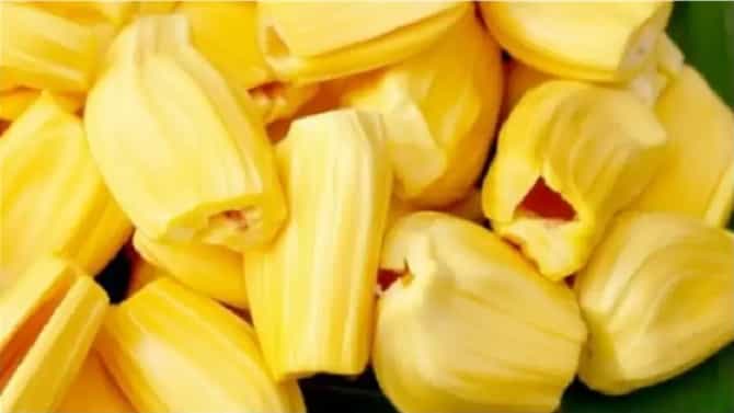 Jackfruit seed Side effect : फणसाच्या बिया खाणे आरोग्यासाठी धोकादायक, या रुग्णांना धोका अधिक
