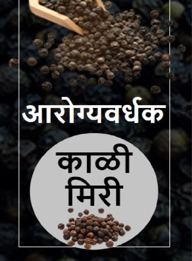 आरोग्यवर्धक काळी मिरी TV9 Marathi Black Pepper Is Extremely Beneficial For Weight Loss