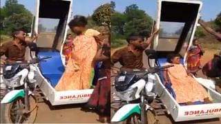 Video | दोन मधमाश्यांची चक्रावून सोडणारी कामगिरी, शीतपेय पिण्यासाठीची धडपड एकदा पाहाच