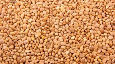 आरोग्य आणि चेहऱ्याच्या समस्येवर गुणकारी चारोळी, वाचा कसं ते...!