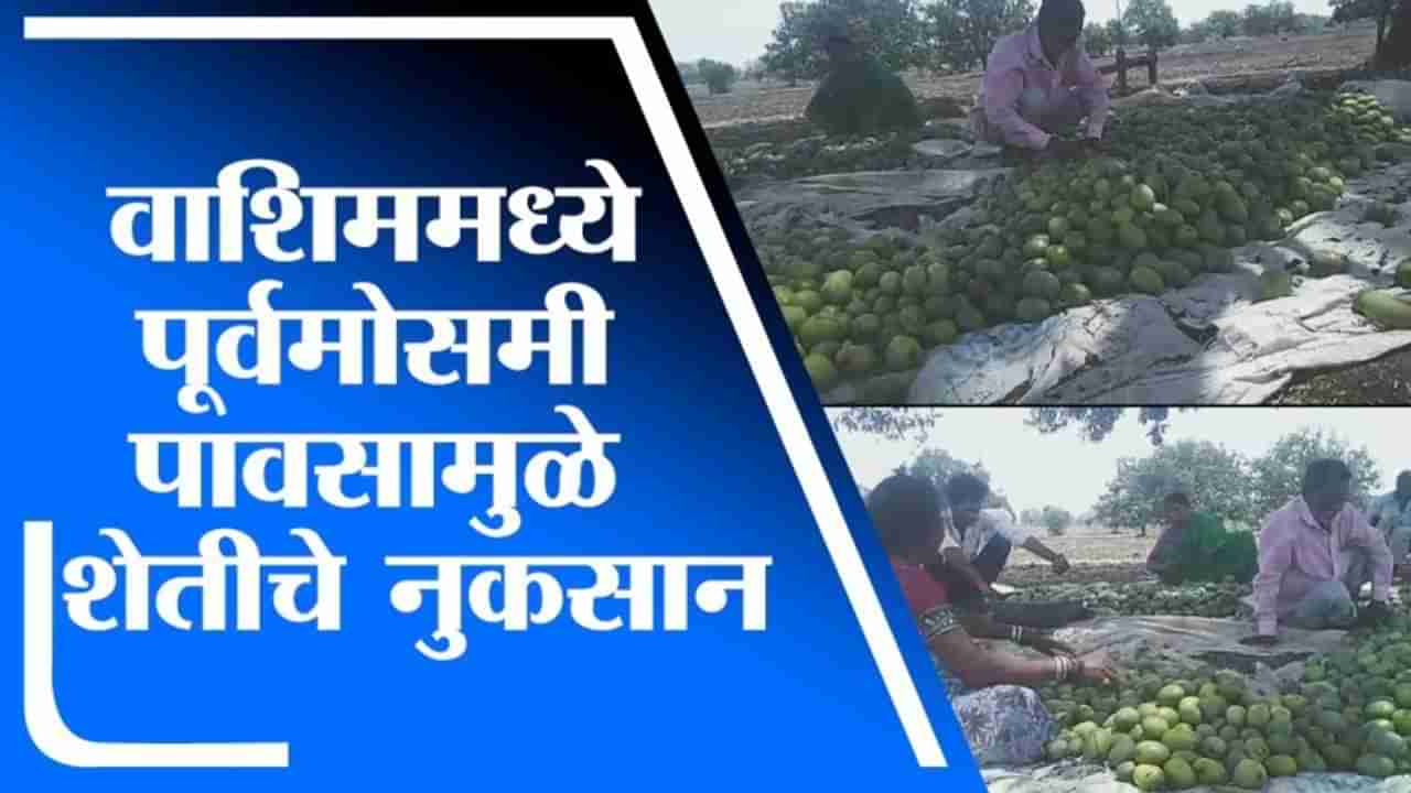 Washim | वाशिममध्ये 2 दिवसांपासून वादळी वारा आणि पाऊस, शेतीला मोठा फटका