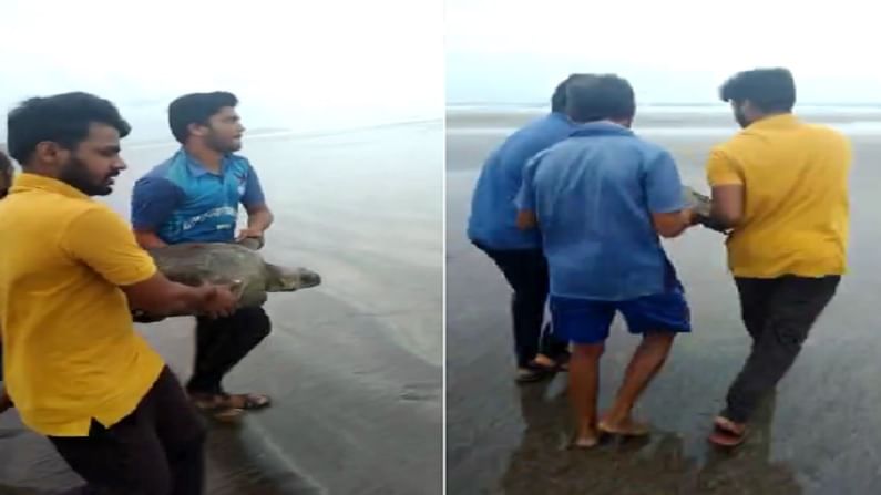 त्यावेळी ते पूर्णपणे जाळ्यात फसलेले होते. त्याला हात पायही हलवता येत नव्हते.