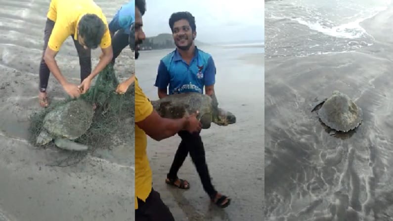 त्यानतंर त्याला पुन्हा समुद्रात सोडून जीवदान देण्यात आले. त्यामुळे परिसरातून त्यांचे कौतुक होत आहे.