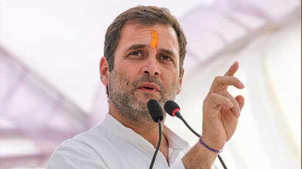 आता राहुल गांधींनीच भाजपात प्रवेश करावा, हाच त्यांच्यासमोर शेवटचा पर्याय, भाजप नेत्याचा खोचक टोला