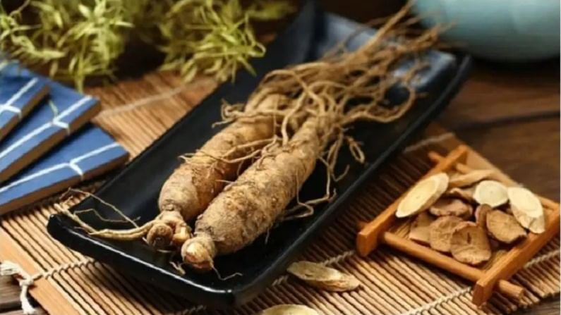 Ginseng Benefits : शतावरीचा औषधी वनस्पती म्हणून प्राचीन काळापासून वापर, काय आहेत फायदे वाचा!