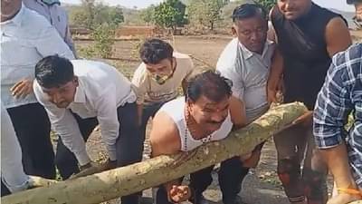 VIDEO | गाडीतून उतरले, शर्ट काढत झाड हटवलं, शिवसेना आमदार संजय गायकवाड यांचा बाहुबली अवतार