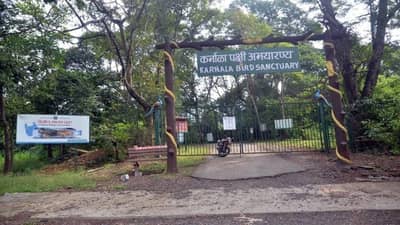 सलग दुसऱ्या वर्षी कर्नाळा पक्षी अभयारण्यातील प्राणी गणना रद्द, कारण काय?