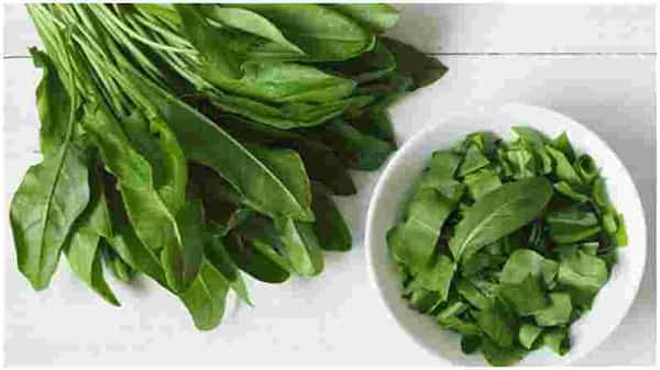 PHOTO | Sorrel leaves : सॉरेल पाने काय आहेत आणि त्याचे आरोग्याला फायदे काय आहेत? जाणून घ्या याबद्दल सर्वकाही