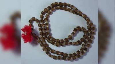 Tulsi Mala | तुळशी माळ घालण्यापूर्वी त्याचे नियम, महत्त्व आणि फायदे जाणून घ्या