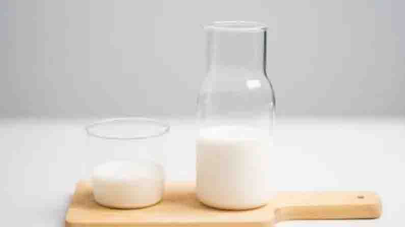 international Milk Day 2021 | ‘जागतिक दुग्ध दिन’, इम्युनिटी वाढवण्यासाठी आहारात सामील करा ‘हे’ दुग्धजन्य पदार्थ!