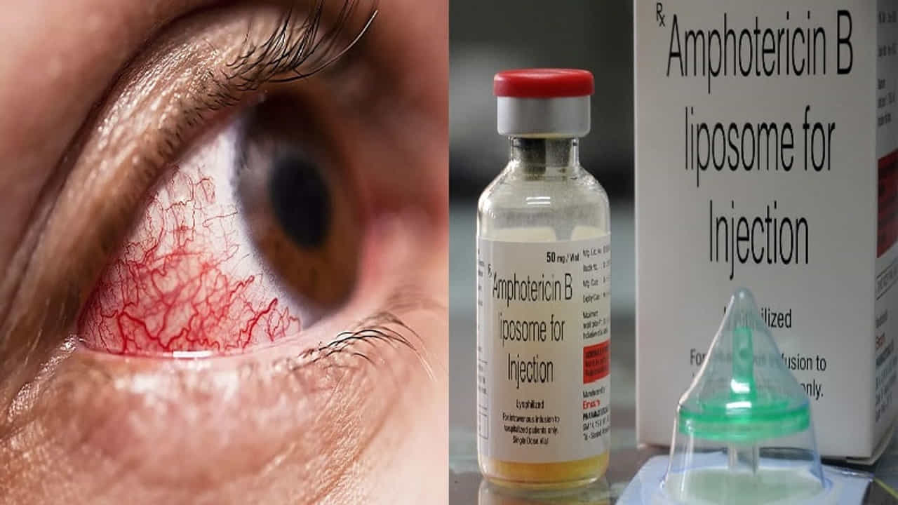 गडकरींचा पुढाकार, पुणे विभागासाठी 7 हजार एम्फोटेरेसिन बी इंजेक्शन उपलब्ध, म्युकरमायकोसिस रुग्णांना दिलासा