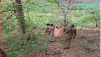 आदिवासी महिला रेल्वे ट्रॅकवर बेशुद्ध पडली; झोळीत टाकून पोलिसांची चार किलोमीटर पायपीट