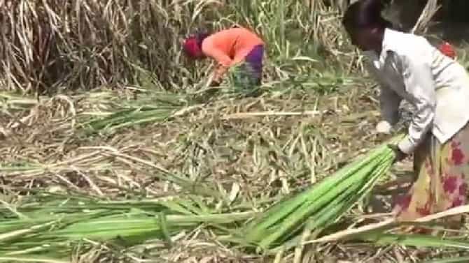 अशी ही माणुसकी, जे सरकार करु शकले नाही ते साखर कारखानदाराने करुन दाखविले..!