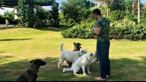 भारताचा माजी कर्णधार महेंद्र सिंह धोनी मागच्या वर्षी विश्वचषकातील अखेरच्या सामन्यानंतर आंतरराष्ट्रीय क्रिकेटमधून निवृत्त झाला.
त्यातच यंदा आयपीएलही कोरोनाच्या संकाटमुळे रद्द झाल्याने धोनी त्याच्या फार्महाऊसवर फॅमिलीसोबत वेळ घालवत आहे (Indian Cricket team former
Captain MS Dhoni Farm House Photos with sakshi Dhoni)