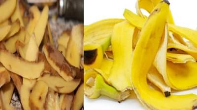 बटाटा आणि केळीची साल, अनेक रोगांवर गुणकारी औषध, वाचा अधिक...