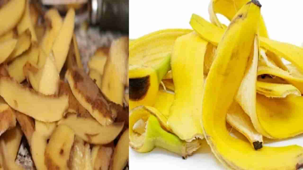 बटाटा आणि केळीची साल, अनेक रोगांवर गुणकारी औषध, वाचा अधिक...