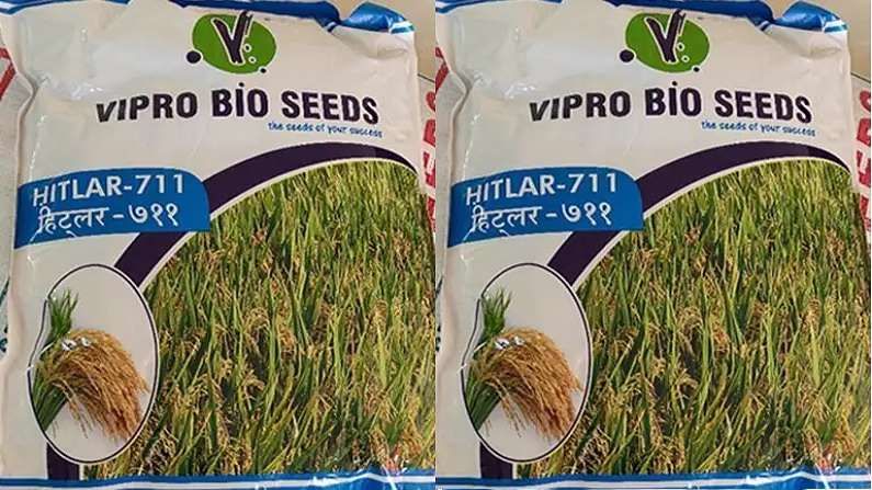भारतातील शेतीमधून हिटलर तांदूळ उत्पादित होणार, जाणून घ्या नेमकं प्रकरण काय?