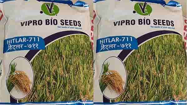 भारतातील शेतीमधून हिटलर तांदूळ उत्पादित होणार, जाणून घ्या नेमकं प्रकरण काय?