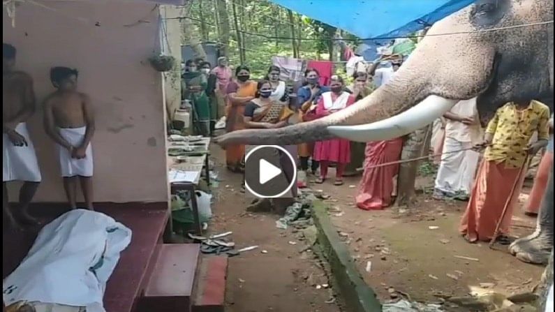 VIDEO | लाडक्या माहूताच्या निधनाने हत्तीलाही शोक, पार्थिवासमोर सोंडेने अखेरचा निरोप, पाहा हृदयद्रावक व्हिडीओ