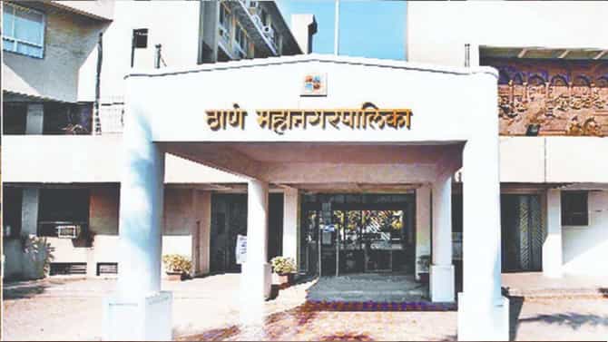 ठाणे महापालिकेचे श्वानांच्या लसीकरणासाठी दीड कोटी; राष्ट्रवादी म्हणते, आधी माणसांचं लसीकरण करा