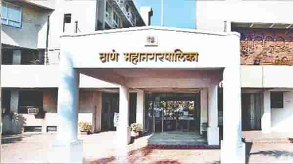 ठाणे महापालिकेचे श्वानांच्या लसीकरणासाठी दीड कोटी; राष्ट्रवादी म्हणते, आधी माणसांचं लसीकरण करा