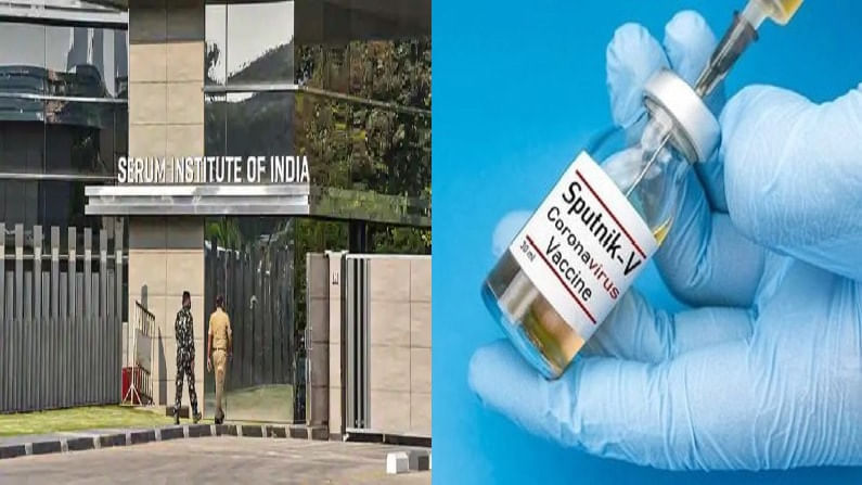 सीरम इन्स्टिट्यूट Sputnik V लसीचंही उत्पादन करणार, DGCI ची मान्यता सीरम इन्स्टिट्यूट Sputnik V लसीचंही उत्पादन करणार, DGCI ची मान्यता