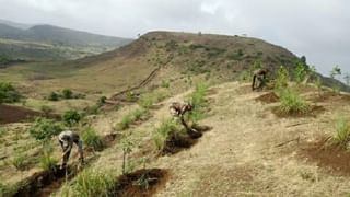 महापालिकेच्या 80 जागा लढवू, पुण्यात जाऊन संजय राऊतांची घोषणा