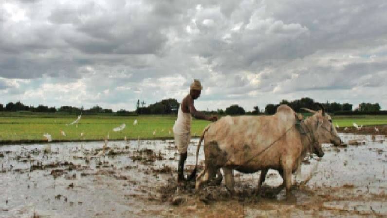 Mansoon Updates : शेतकऱ्यांसाठी आनंदाची बातमी, मान्सून महाराष्ट्रात दाखल