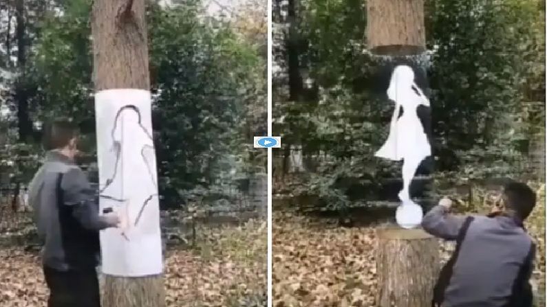 Video | चित्रकाराची किमया ! उभ्या झाडाच्या मधोमध सुंदर मुलगी, नेमकं रहस्य काय ?