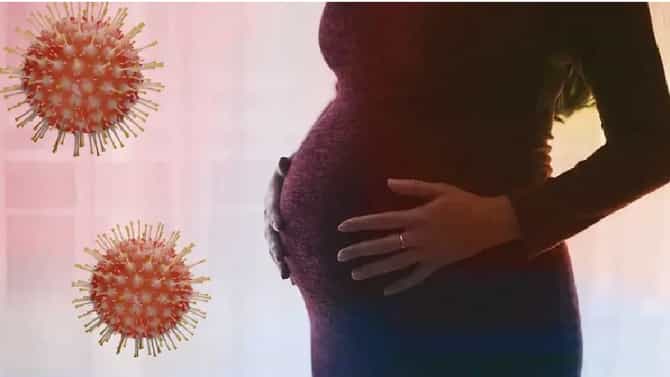 pregnant women health | गर्भवती महिलांना कोरोनाचा धोका किती ? पोटातील बाळावर काय परिणाम ? जाणून घ्या महत्त्वाच्या प्रश्नांची उत्तरं