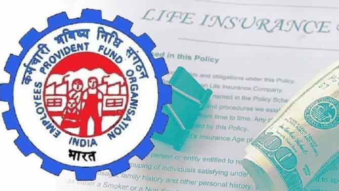 पीएफचे नवीन नियम माहीत आहेत काय?; पटापट वाचा, नाही तर मोठा आर्थिक फटका बसणार!
