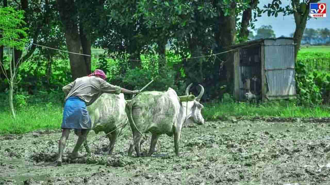शेतकऱ्यांना वार्षिक 10 हजार रुपये देणार, या राज्याच्या मुख्यमंत्र्यांचा मोठा निर्णय