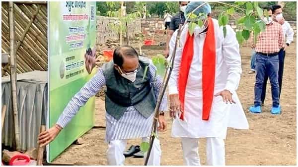 मध्य प्रदेशचे मुख्यमंत्री शिवराज सिंह चव्हाण यांनी जागतिक पर्यावरण दिनानिमित्त भोपाळ येथील स्मार्ट सिटी पार्कमध्ये पिंपळाचं झाड लावलं.