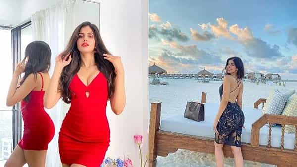 अभिनेत्री साक्षी मलिक सोशल मीडियावर खूप सक्रीय असते. तिचे लाखो फॉलोवर्सही आहेत. साक्षीचा बोल्ड लूक तिच्या चाहत्यांना चांगलाच पसंत आहे. ती कायमच आपले बिकिनीतील फोटो चाहत्यांसोबत शेअर करत असते. हेच फोटो नंतर मोठ्या प्रमाणात व्हायरलही होतात. आताही तिने असेच फोटो शेअर केले आहेत.